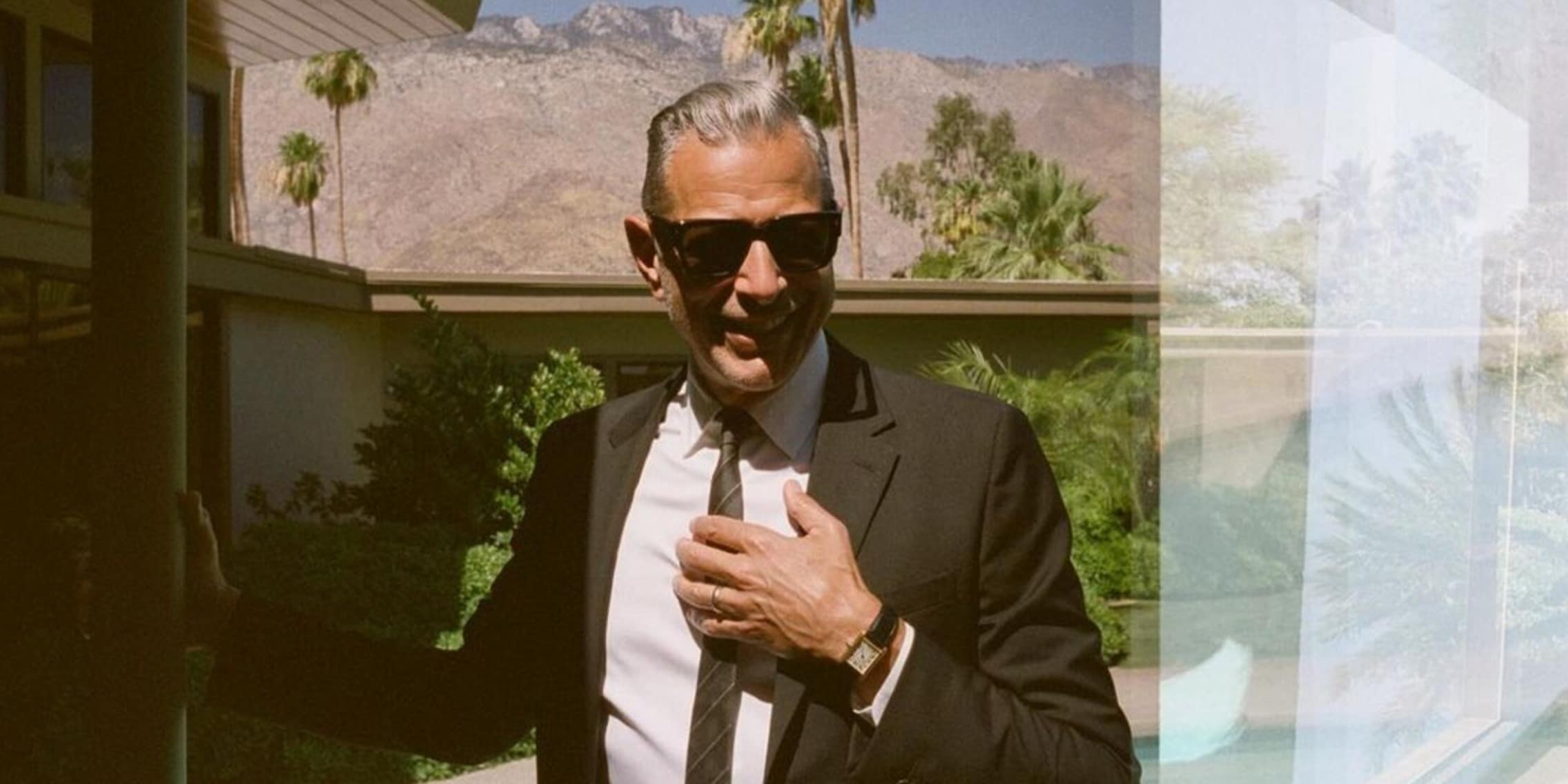 Jeff Goldblum Stil21.jpeg